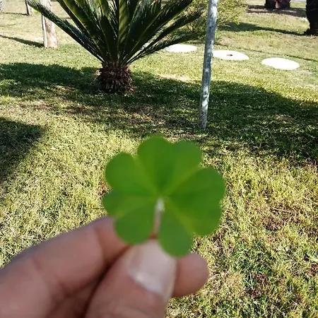 Quiero Mas Frühstückspension 3*